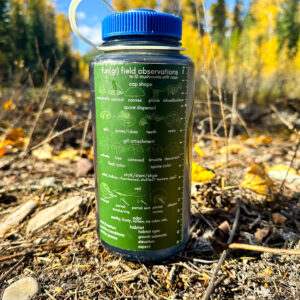 Fungi Field Guide Sticker Sized for 32oz Nalgene