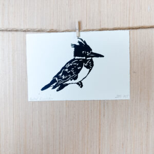 Belted Kingfisher Paper Print