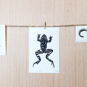 Amphibians Paper Print Trio