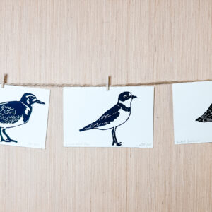 Shorebirds Print Trio