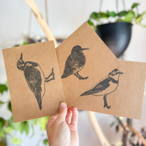 Three brown kraft paper greeting cards held in a fan shape, showing a ruddy turnstone, semipalmated plover, and spotted sandpiper printed in black ink.